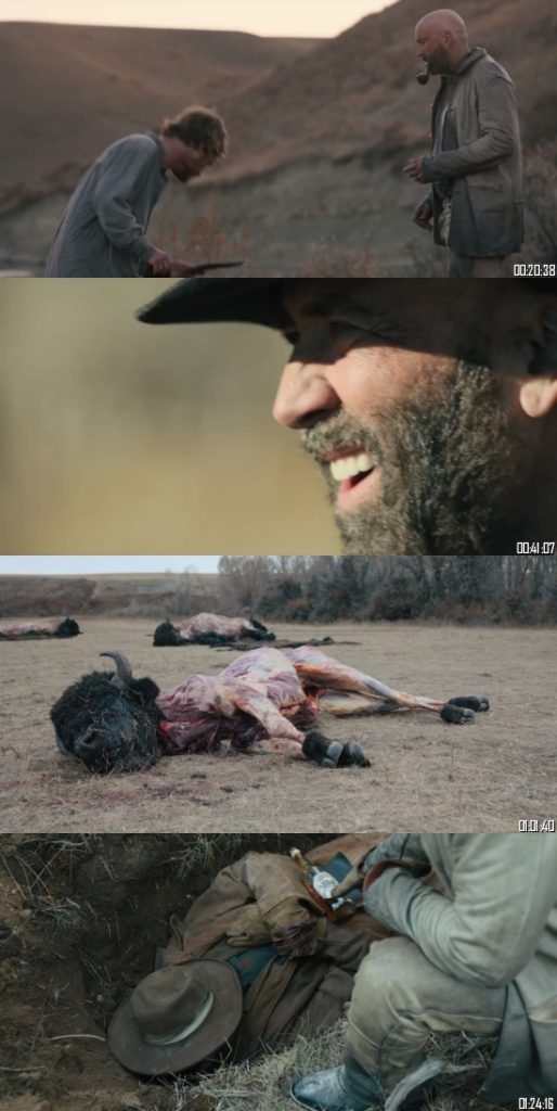 Butchers Crossing 2023 Dual Audio Hindi 720p WEB-DL_s