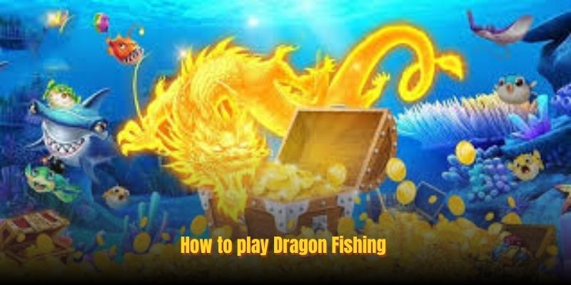 Conquer the Deep: Master Dragon Fishing at RED88 Today!